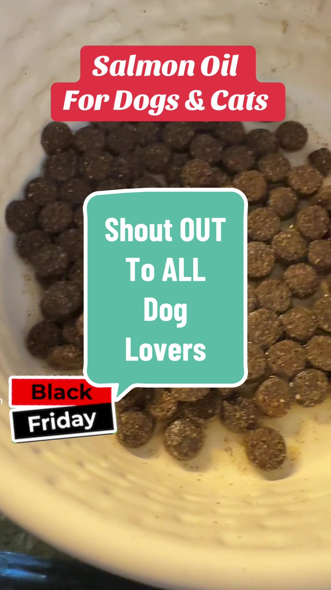 TikTok post by @giddy_upon for Vital Pet Life. Caption reads: [...] #goldendoodlesoftiktok #paristhepup @Vital....