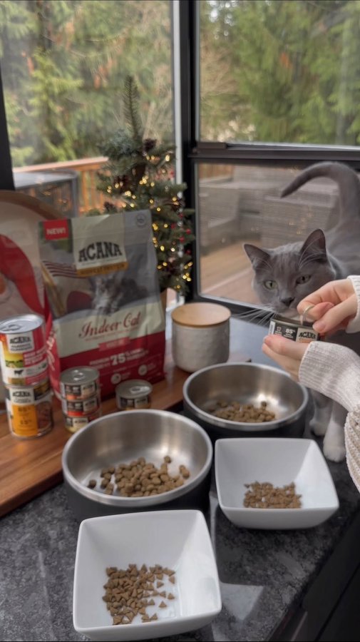 Instagram post by @thebeagleandthebun for ACANA Petfoods. Caption reads: #ad Spend a day with us featuring @AcanaPetFood....