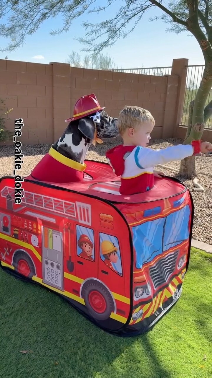 Instagram post by @the_oakie_dokie for PAW Patrol. Caption reads: Paw Patrol is on a roll 🎃✨

#halloween....