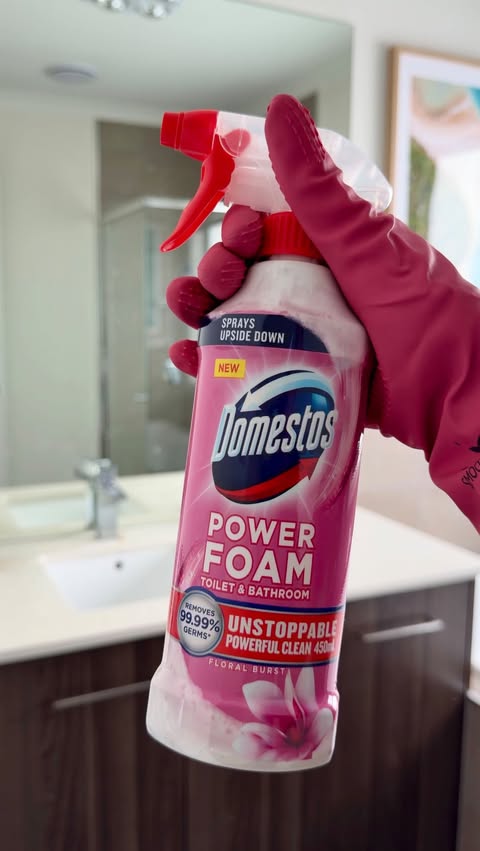 Instagram post by @my_friend_jackies_house for Domestos. Caption reads: [...] so I stopped. Now it’s just this - Domestos....