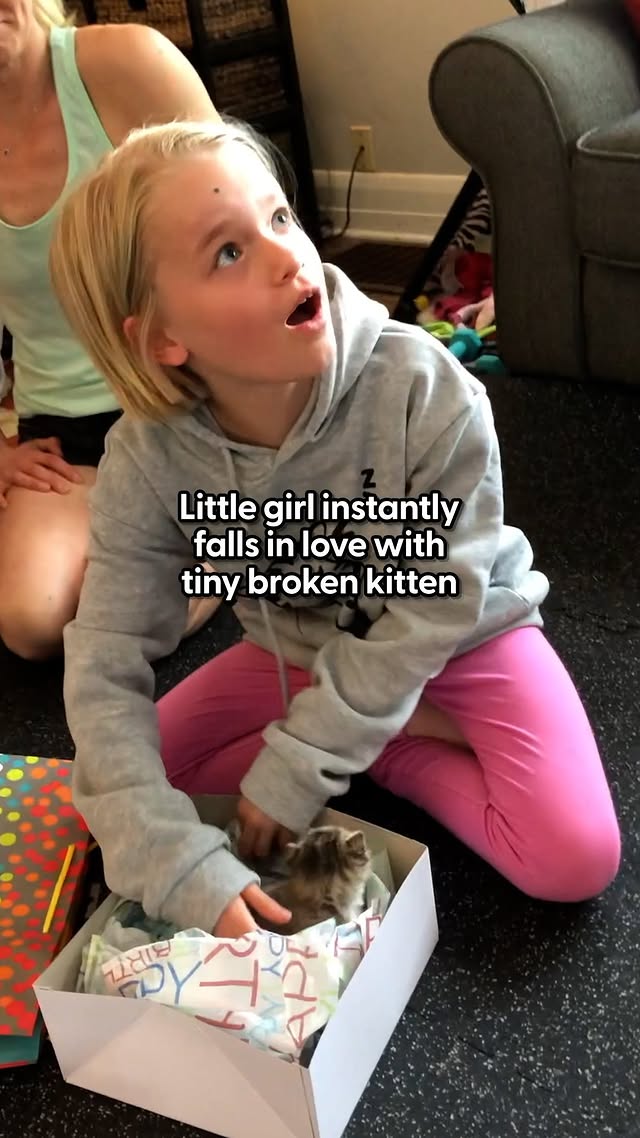 Instagram post by @dr.mattmcglasson for The Dodo. Caption reads: Neither the girl nor the cat cares that she’s....