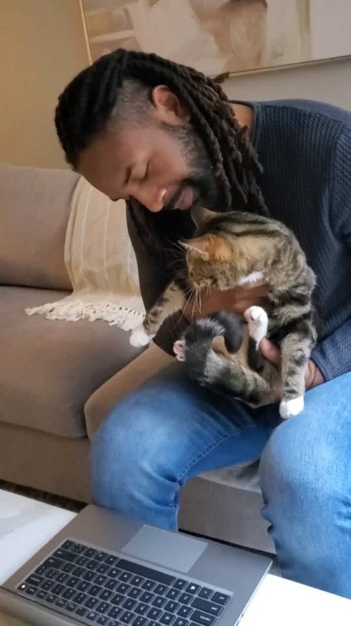 Instagram post by @abdulscats for Dutch. Caption reads: [...] Bambi's health is at its best! @Hellodutch....