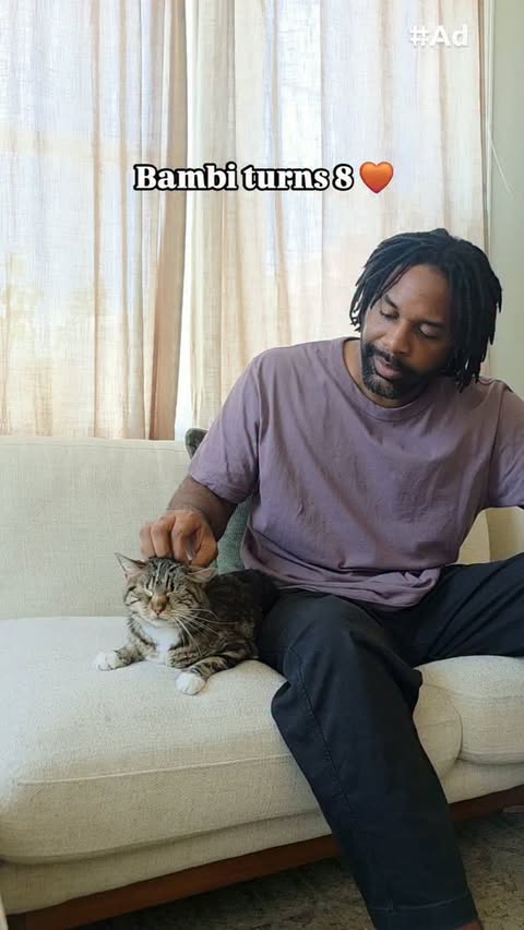 Instagram post by @abdulscats for Hill's Pet Nutrition. Caption reads: #HillsPartner #Ad It's hard to believe Bambi is....