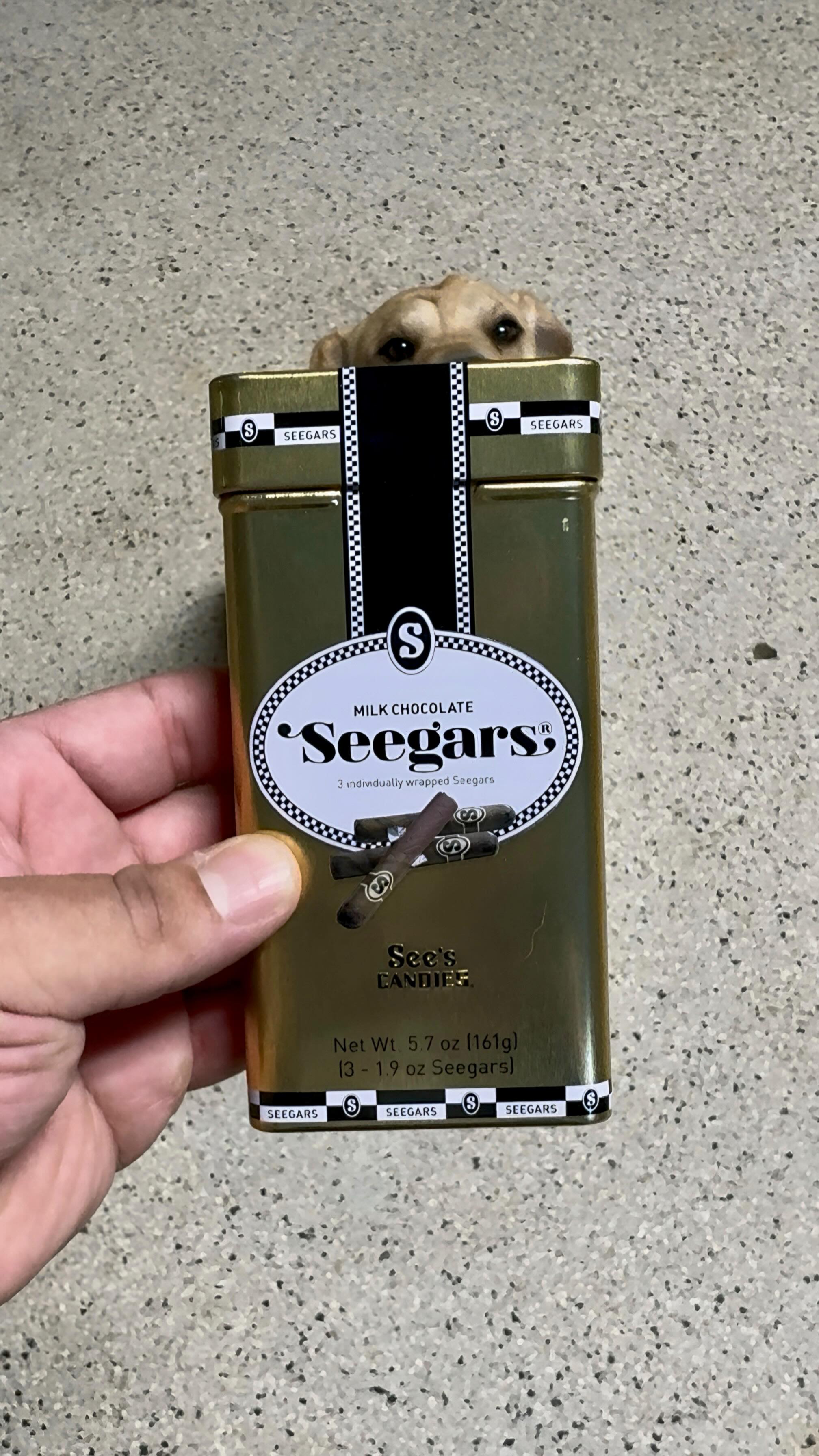 Instagram post by @bryanofomaha for See's Candies. Caption reads: Matching dogs with candy from @seescandies at dog....