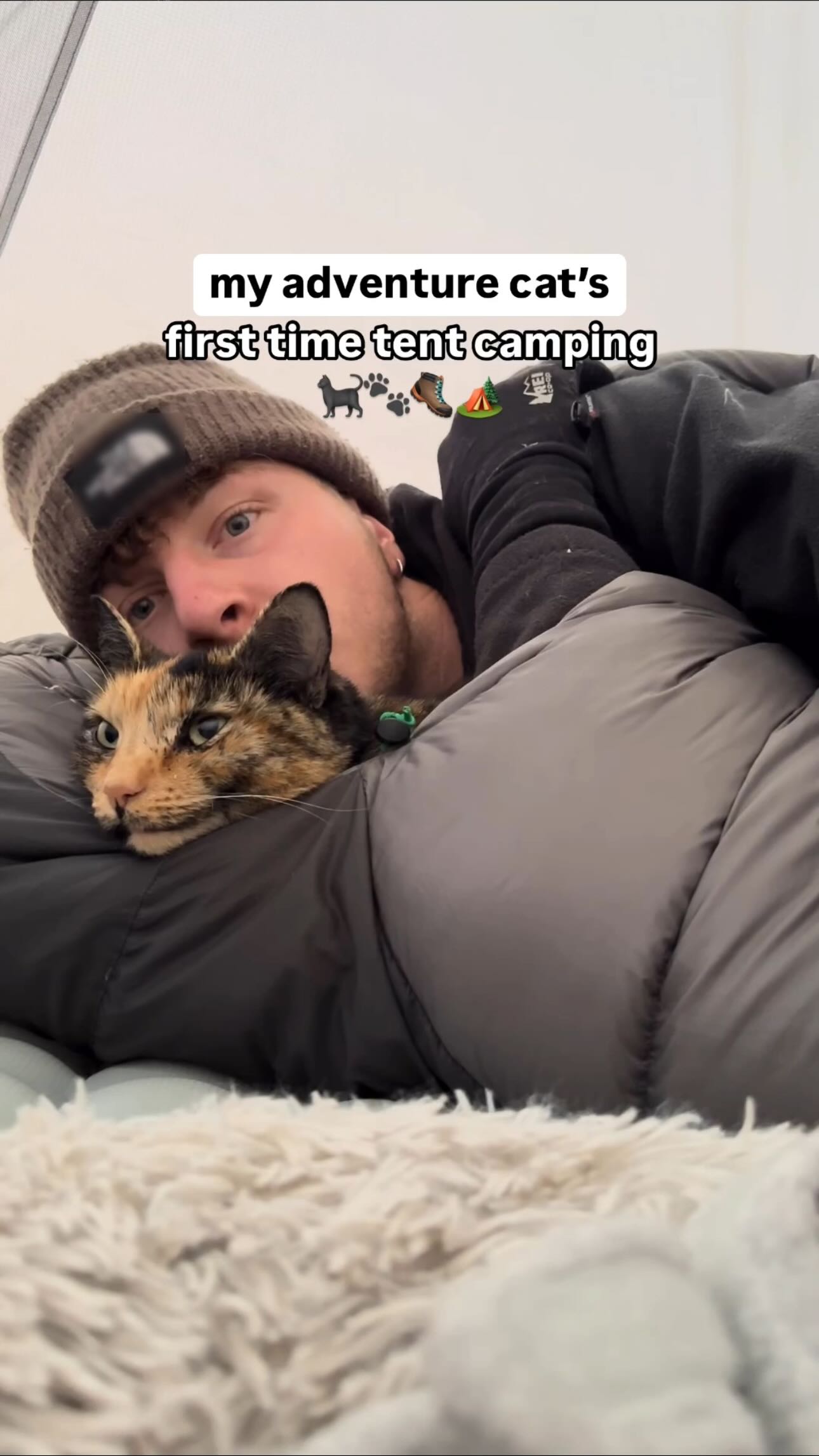 Instagram post by @scarletandseth for ORIJEN Petfoods. Caption reads: We seriously had no idea what to expect, but Sasha....