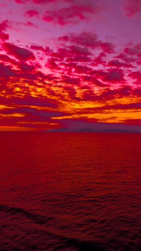 Instagram post by @nicolemsunderland for MSC Cruises. Caption reads: If you know, Juneau @msccruises.us This was one of....