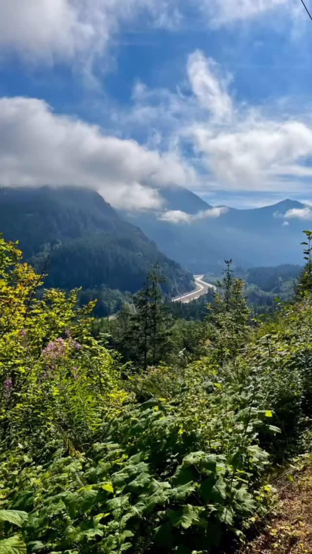 Instagram post by @alpine_skye for Alter Ego Running. Caption reads: [...] @evergreentrail @brooksrunning....