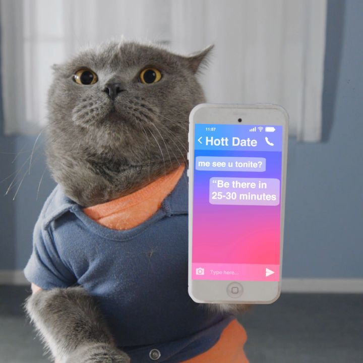 Instagram post by @aaronsanimals for Hoover Vacuums. Caption reads: How to get ready for a date w/@hoover #ad.