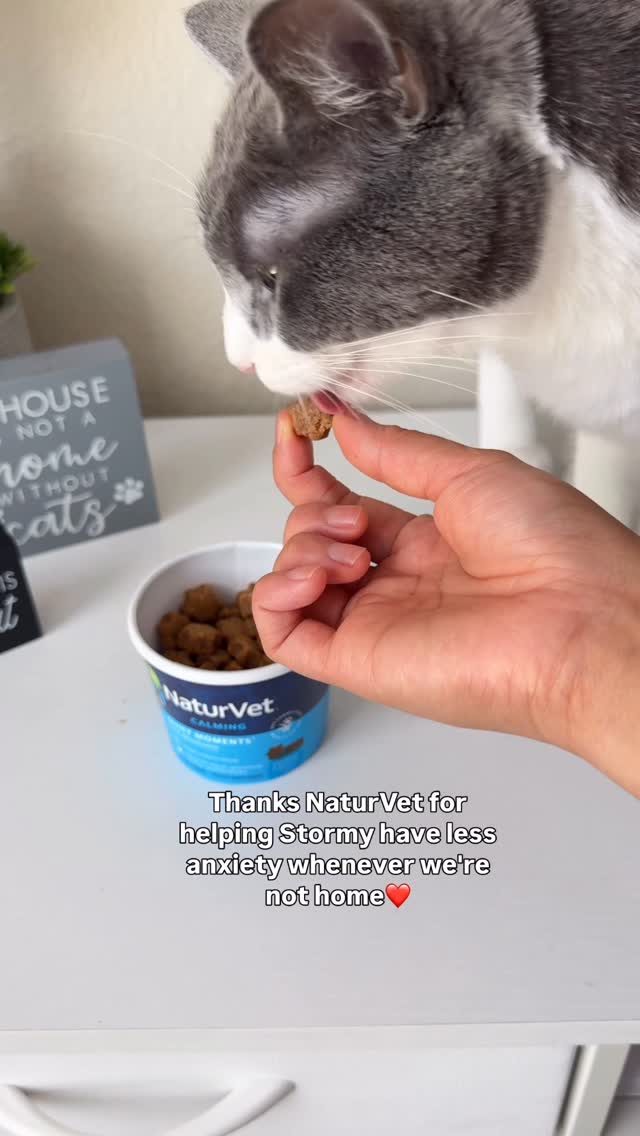 Instagram post by an influencer for NaturVet. Caption reads: [...] house 🐾💔… but thanks to @naturvet Quiet....
