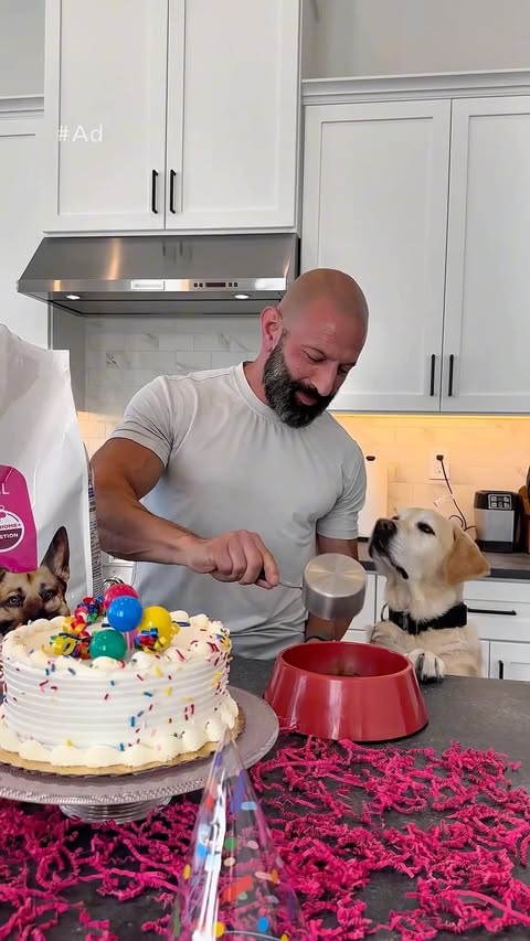 Instagram post by @magnusthetherapydog for Hill's Pet Nutrition. Caption reads: #AD #HillsPartner For over a year, Magnus....