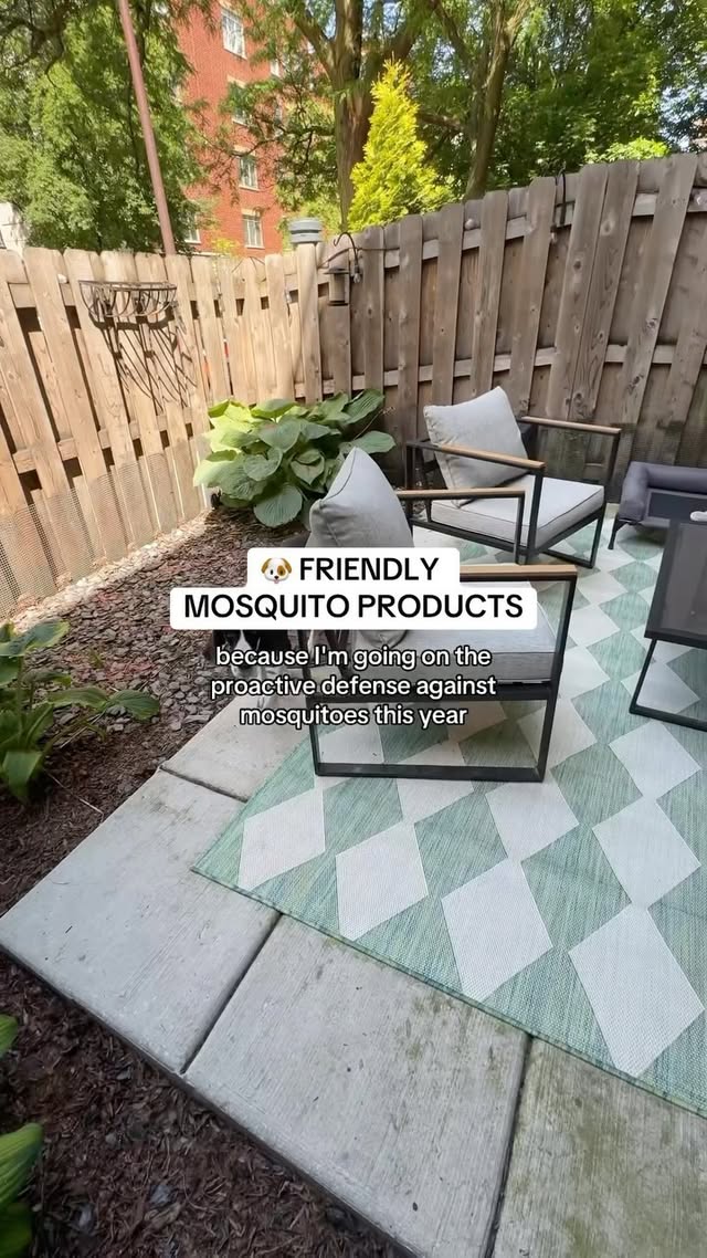 Instagram post by @myboyrudder for Amazon Pets. Caption reads: [...] #founditonamazon #amazonmusthaves....