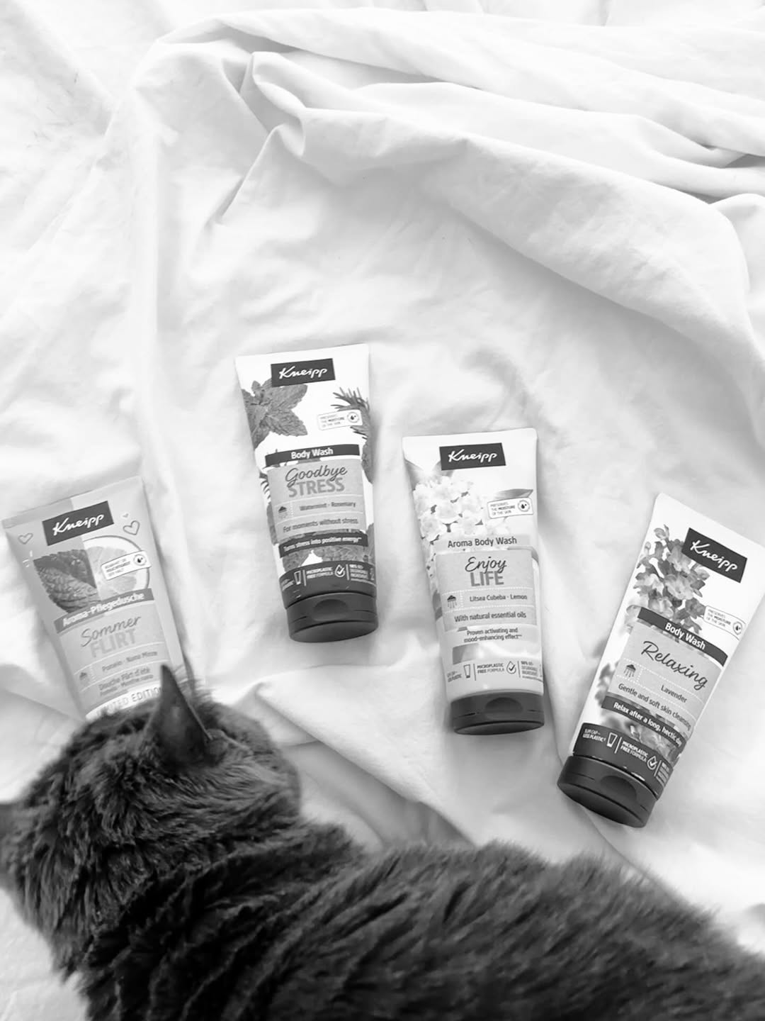 Instagram post by @lucijavesela for Kneipp. Caption reads: #kneipp 
When we’ve received this PR package full....