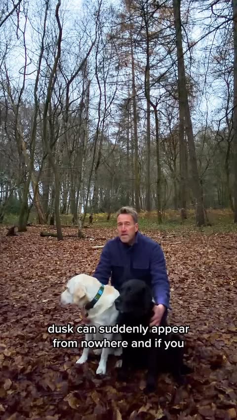 Instagram post by @benfogle for Tractive. Caption reads: [...] shortest day of the year, thanks to....