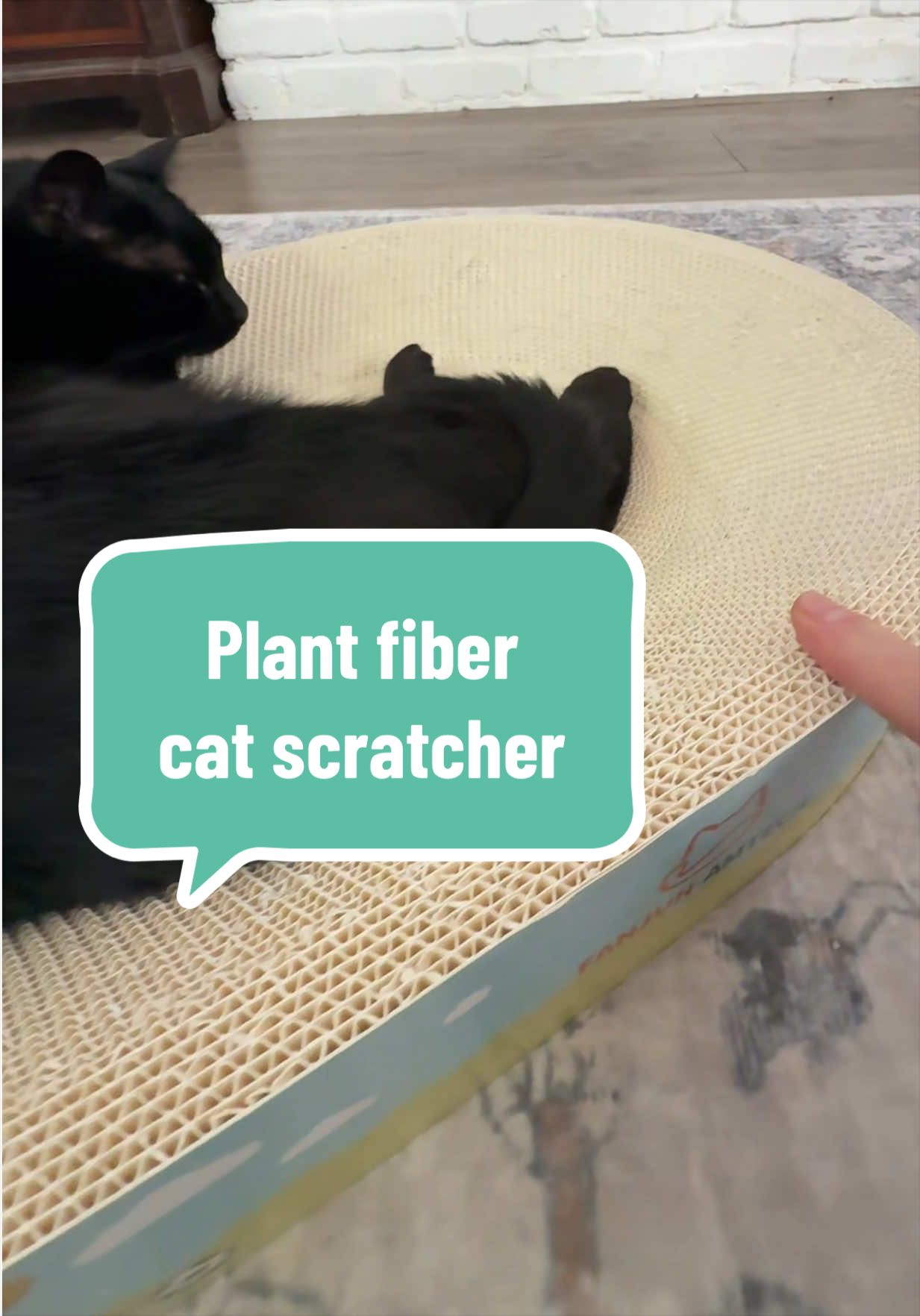 TikTok post by an influencer for FANJUN-PETHOUSE-P. Caption reads: [...] #catproducts @FANJUN-PETHOUSE-P.