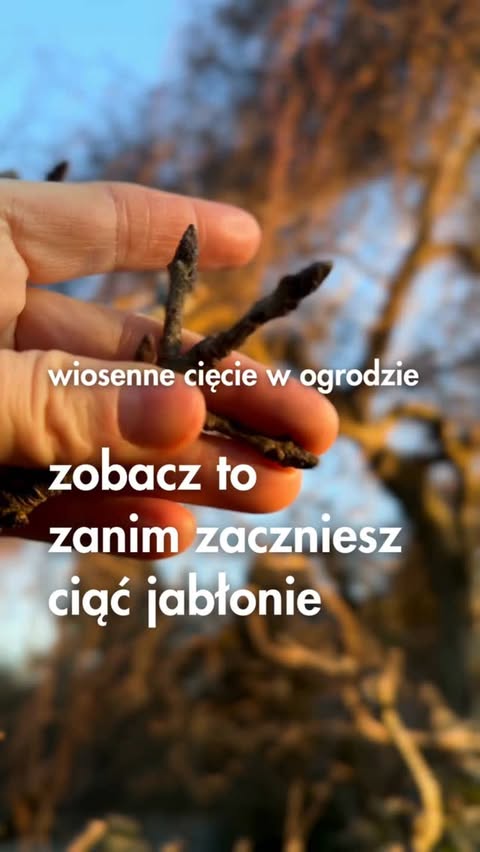 Instagram post by @poprostuposadz for RYOBI Tools. Caption reads: [...] z najlepszych promocji u @ryobitoolspl 💚 Do....