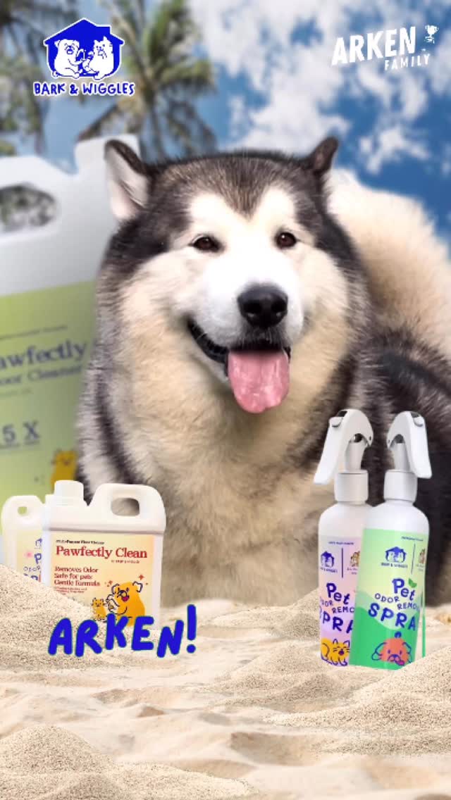 Instagram post by @arkenmalamute for BarkBox. Caption reads: BARK & WIGGLES

Anabul Sehat, Kita Senang! 🥰....