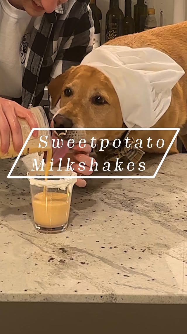 Instagram post by @whiskeybearthelab for NC Sweetpotatoes. Caption reads: [...] #paidpartnership #ncgrown #ncsweetpotatoes....