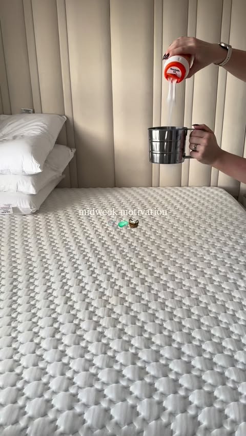 Instagram post by @athomewithalicemay for Scrub Daddy. Caption reads: Magic erasers to the rescue on that giant coffee....