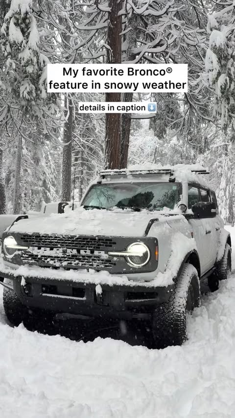 Instagram post by @tree_being for Ford Bronco. Caption reads: [...] Modes® dial as the seasons change.....