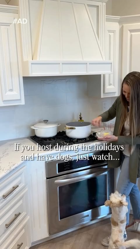 Instagram post by @dreamingofhomemaking for Good 'n' Fun. Caption reads: [...] we walk. #ad We grabbed their favorite....