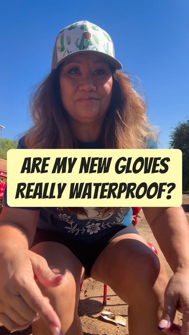 Instagram post by @thechickinn_norco_ca for Farmers Defense. Caption reads: [...] myself and they’re legit! Thank you....