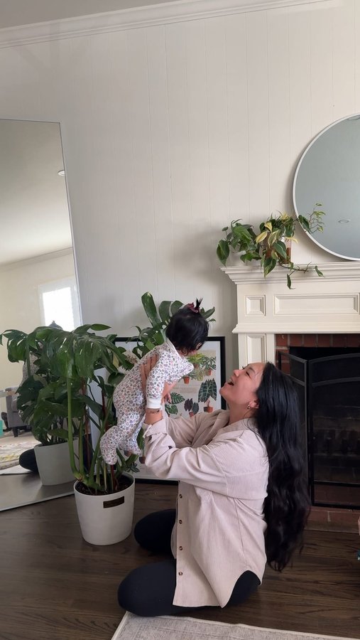 Instagram post by @livinglifewithariana for Lively Root. Caption reads: Plant shopping made easy with @livelyroot....