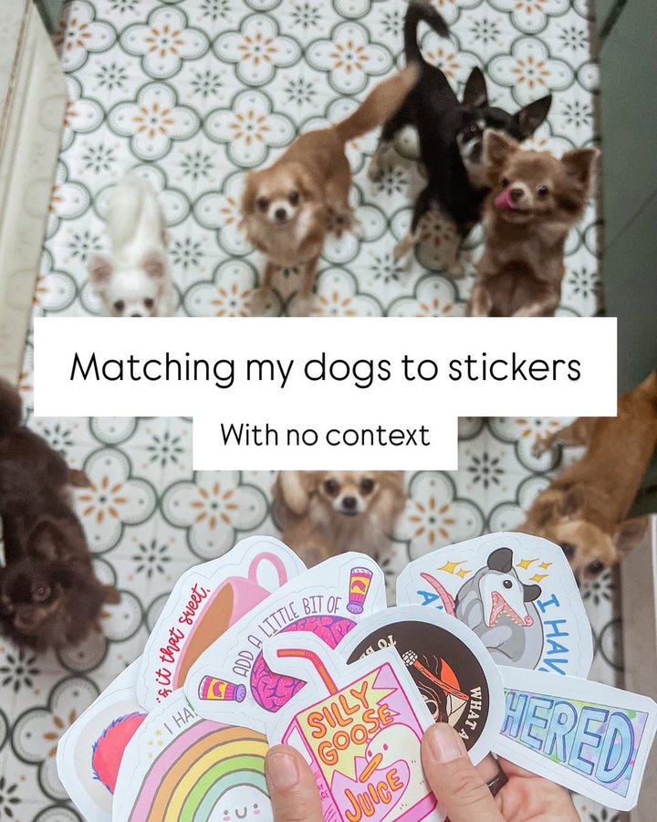 Instagram post by @canineantics for Redbubble. Caption reads: [...] shopping this year. I shopped with....