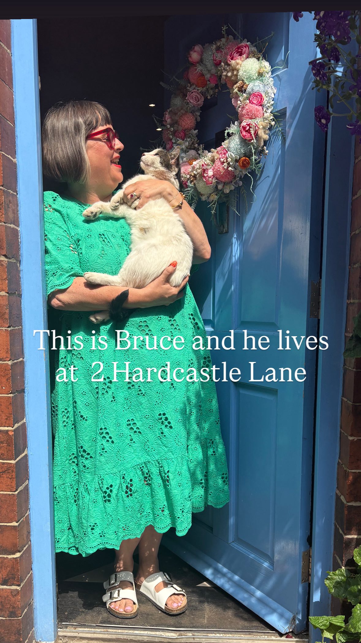 Instagram post by @hardcastletowers for KatKin. Caption reads: Ad This is Bruce 
We live with him at number two....