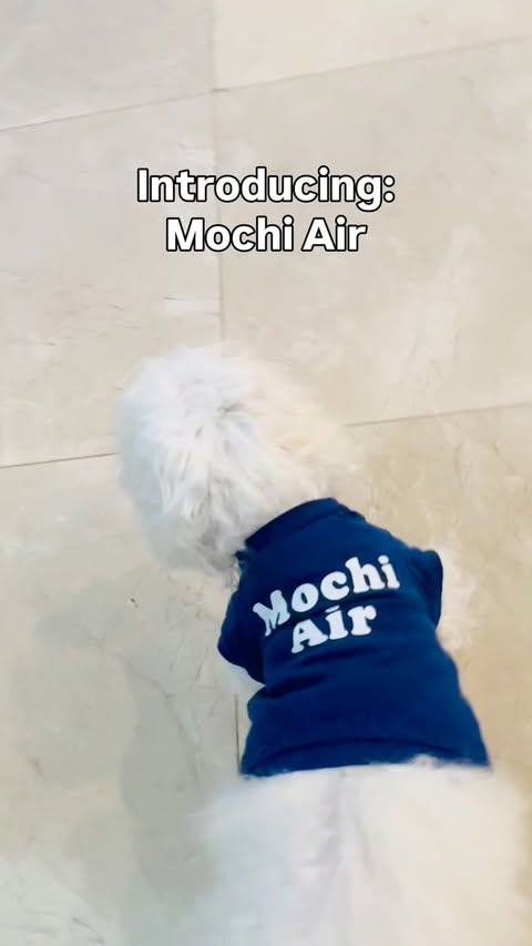 Instagram post by @mymochipuppy for Cricut. Caption reads: [...] Air 🏀🐾 Custom courtside tee made with....