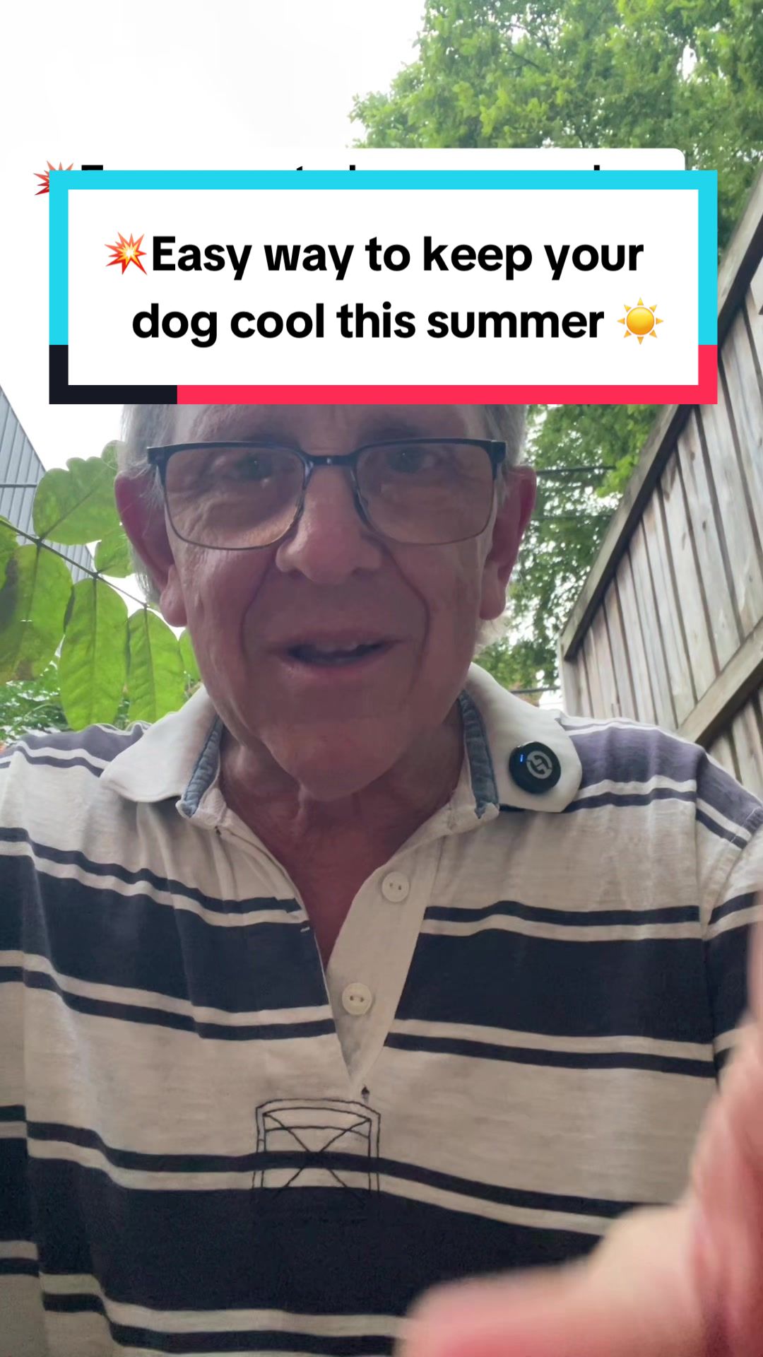 TikTok post by @johnspetsolutions for Lesure Pet. Caption reads: [...] #coolingmatforpets #summerheat @Lesure Pet.