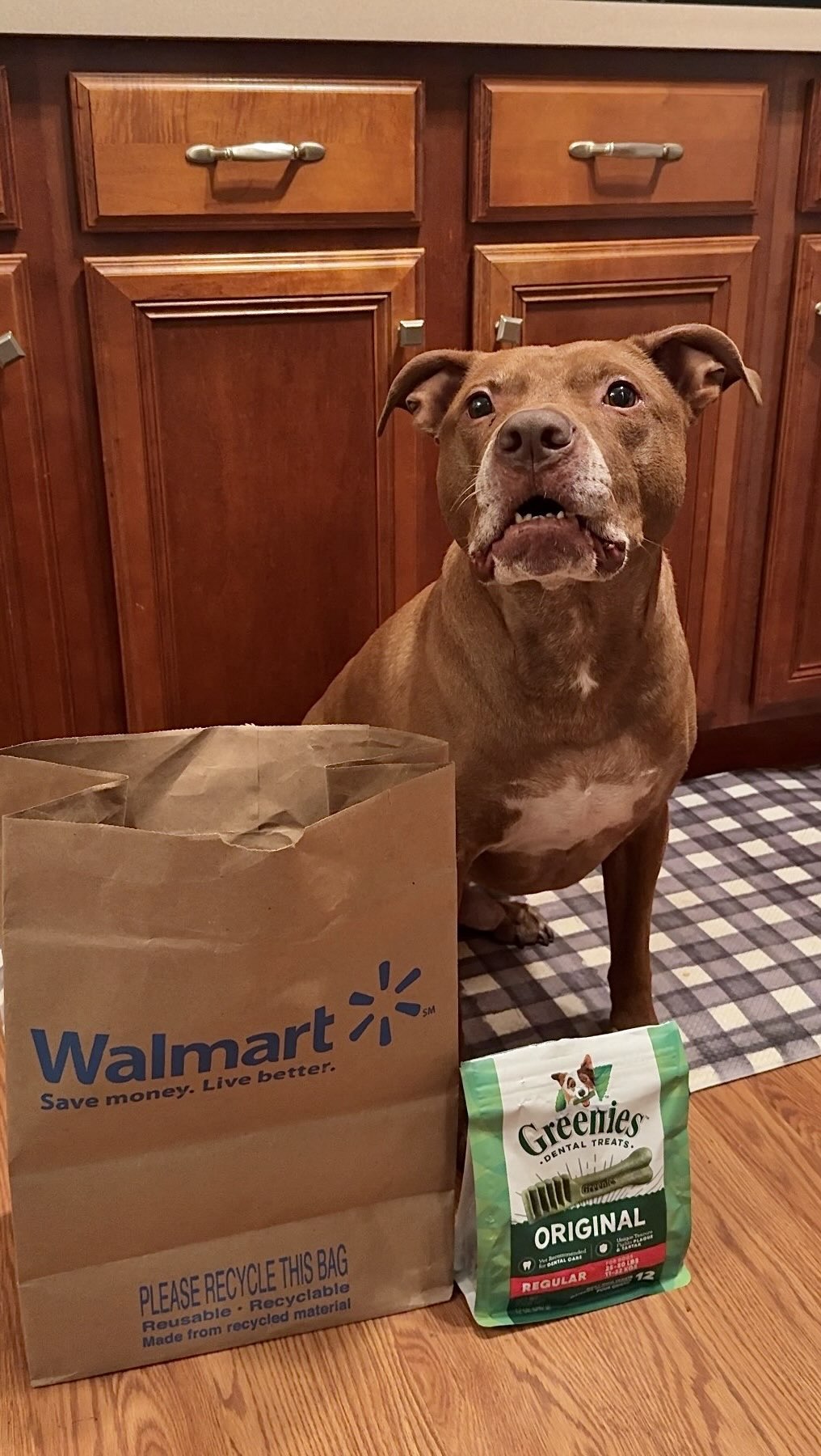 Instagram post by @cozynthewild for Greenies. Caption reads: #GREENIESPartner | As a content creator, I need....