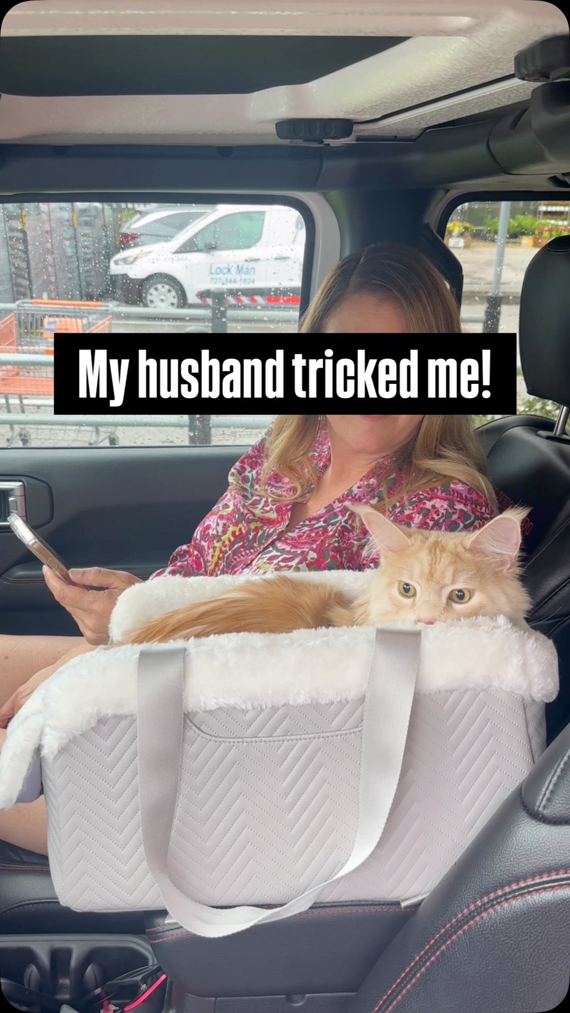 Instagram post by @rocco_and_the_kitty_cats for Petsfit. Caption reads: They absolutely tricked me. He said home goods and....