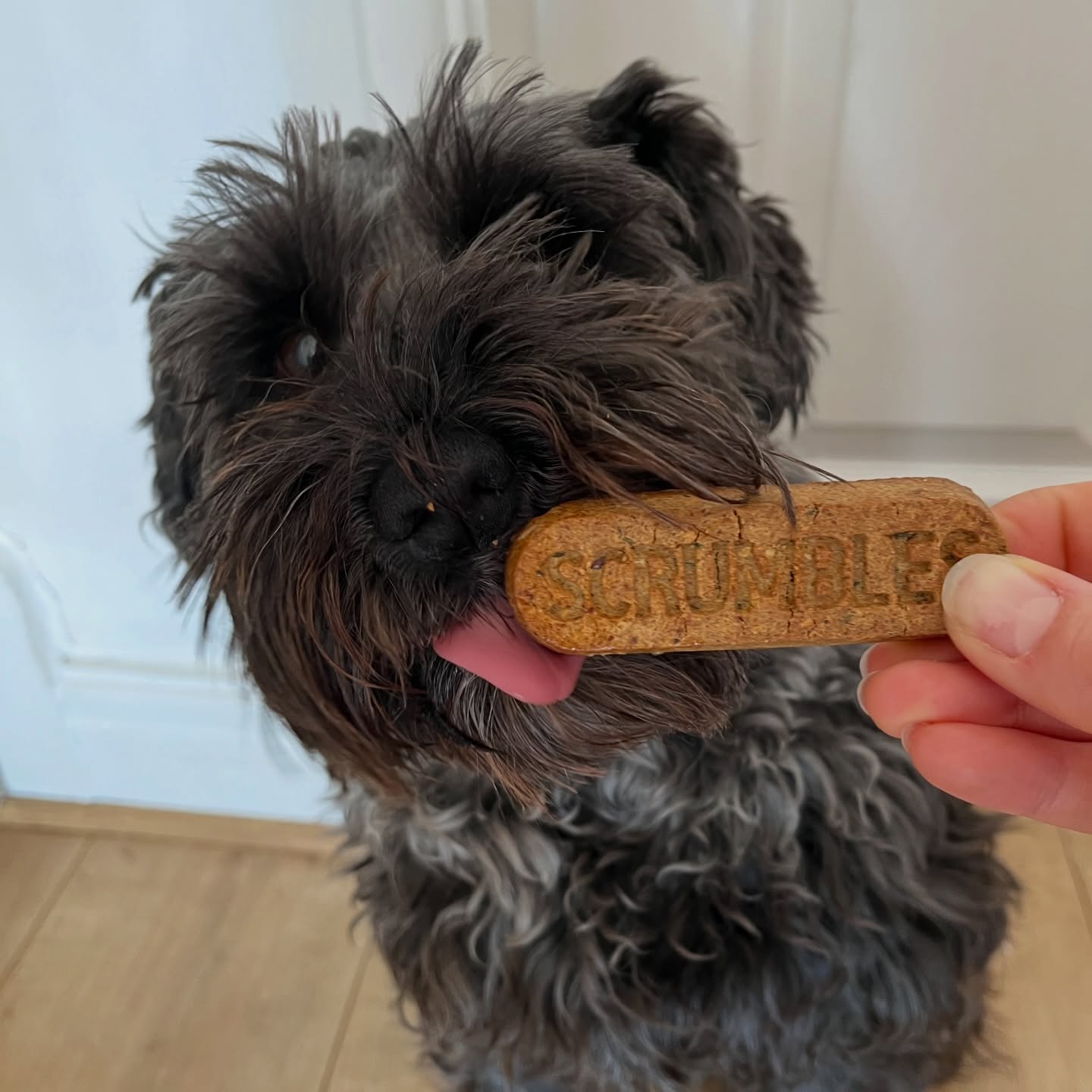 Instagram post by @its_little_eddy for Scrumbles. Caption reads: [...] my teef clean and breath fresh 😍 🩵....