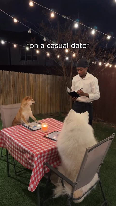 Instagram post by @cody.taurus for Chewy. Caption reads: [...] ordering the Turkey & Cranberry from Chewy’s....