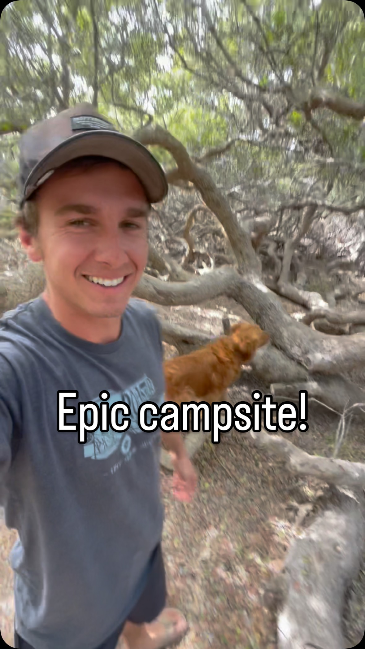 Instagram post by @andrew__muse for Ford Bronco. Caption reads: This is one of my favorite campsites of all time.....