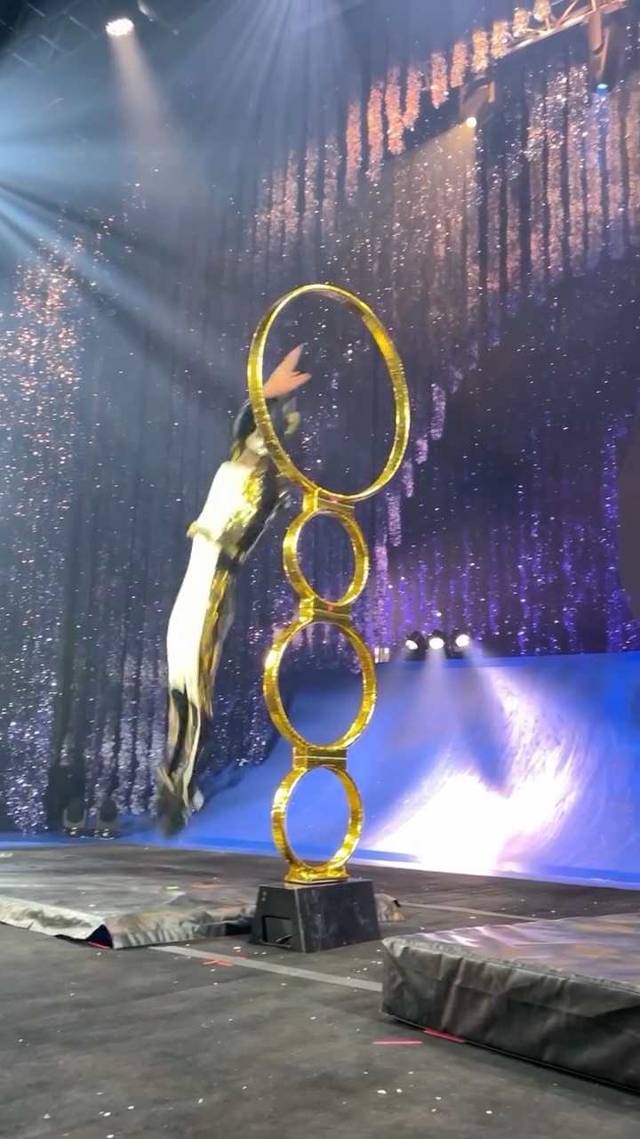 Instagram post by @sebastian.jimenezr for Cirque du Soleil. Caption reads: ❄️ Christmas is coming  at @cirquedusoleil ❄️ 🦌.