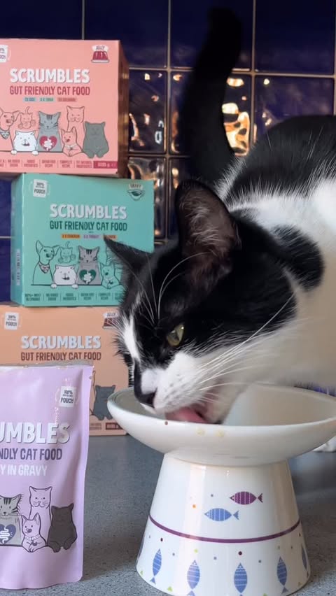 Instagram post by @my_neko_pudding for Scrumbles. Caption reads: [...] code ‘MYNEKOPUDDING’ for 20% off at....