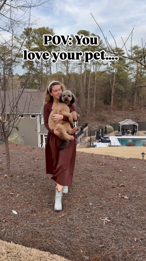 Instagram post by @mygeorgiahouse for Dutch. Caption reads: [...] inconvenience of the vet?? Not so....