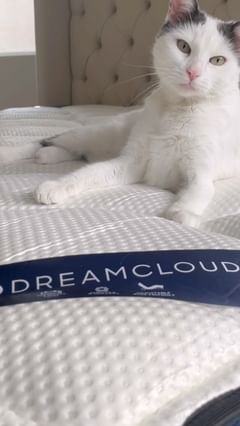 Instagram post by @rachelanne_official for DreamCloud Sleep. Caption reads: Obsessing over my new @dreamcloudsleep king size....