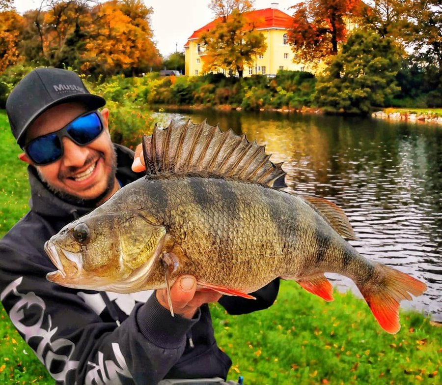 Instagram post by @houtan_ata for Mustad Fishing. Caption reads: Big is beautiful 💪 #mustadfishing....