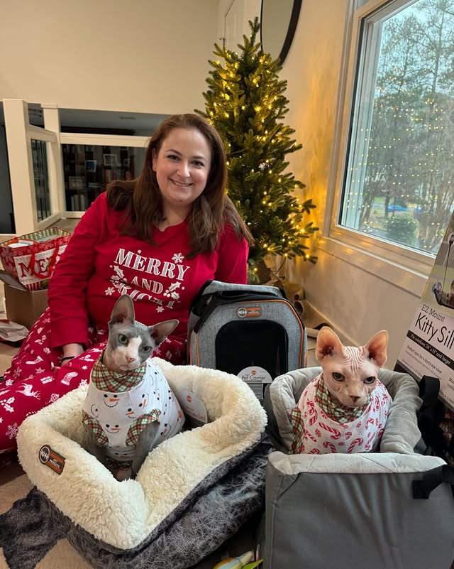 Instagram post by @confessionsofacrazycatlady for K&H Pet Products. Caption reads: The kiddens had a VERY Merry Sphynxmas thanks to....