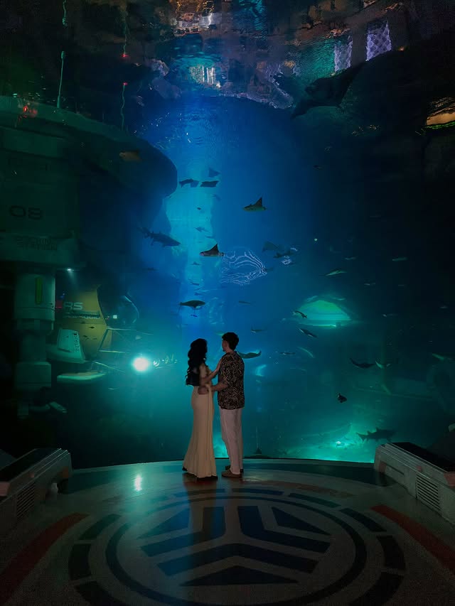 Instagram post by @marylouleloup for Visit Abudhabi. Caption reads: Sea world with love 🫂 
@seaworldyasisland....