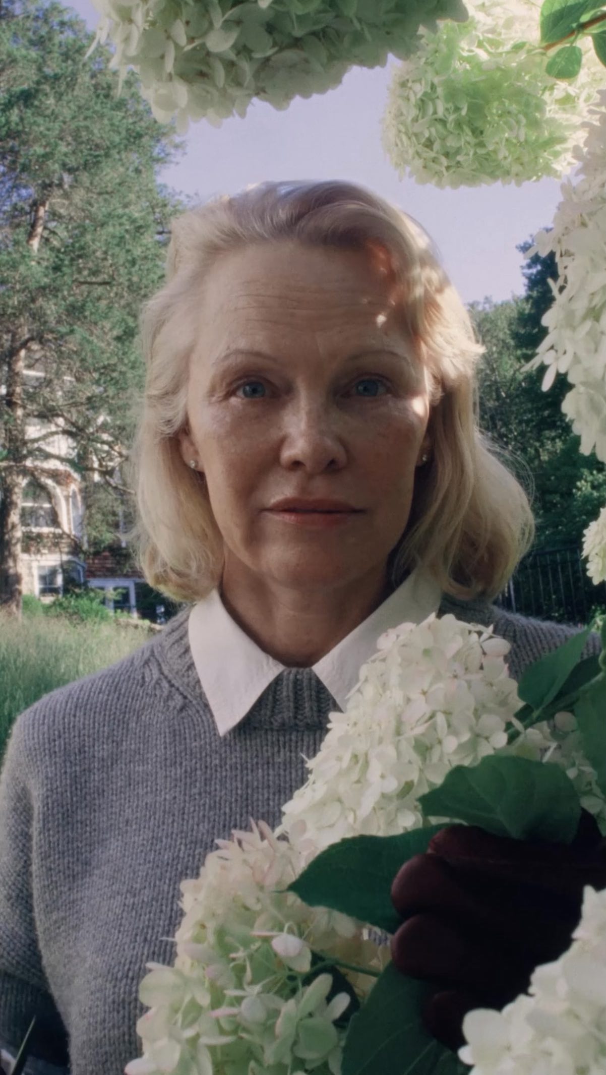 Instagram post by @pamelaanderson for Shopify. Caption reads: It’s never too late to dream… with @shopify, I can....