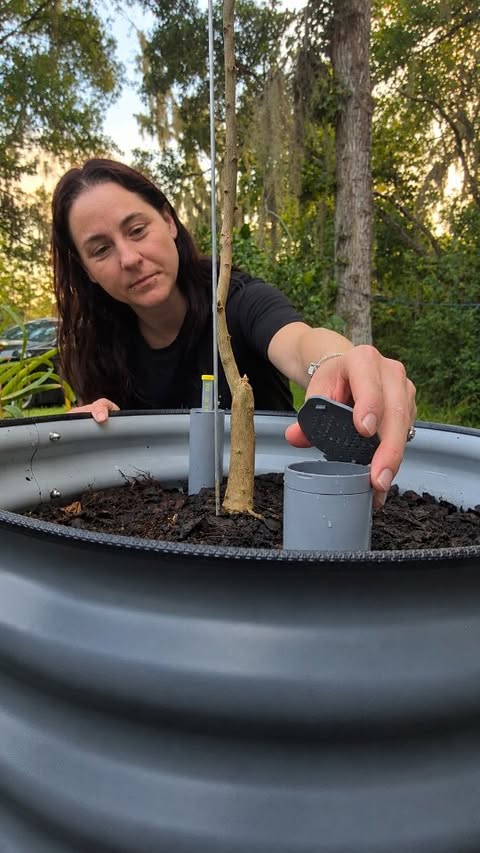 Instagram post by @theloonatoonfamily for Vego Garden. Caption reads: One thing about growing a garden when you rent…....