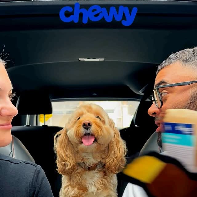 Instagram post by @lunatheminicockapoo for Chewy. Caption reads: The last one was easy thanks to @chewy 😍 use code....