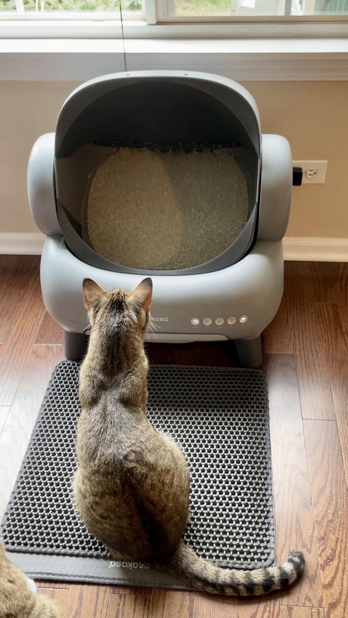 Instagram post by @meeloandmina for Neakasa. Caption reads: [...] in this household has ceased with the....