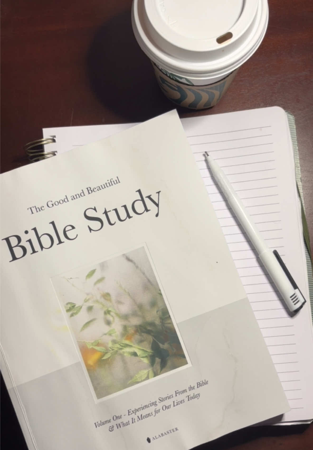 TikTok post by @alexa.vgr for Alabaster Co. Caption reads: Thank you @Alabaster for such a beautiful Bible....