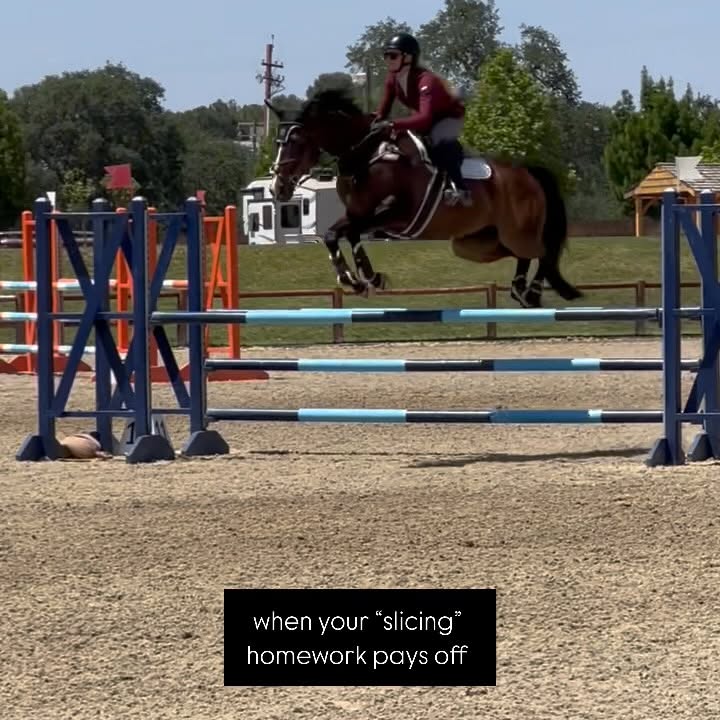 Instagram post by @zlequestrian for Majyk Equipe. Caption reads: [...] @Devoucoux_centralca_nv @shires_usa....