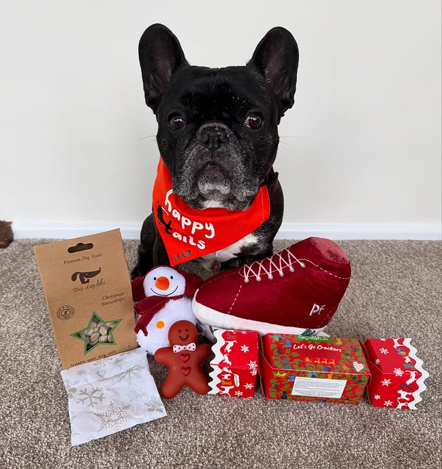 Instagram post by @louie_toes_frenchie for Happy Tails Hampers. Caption reads: [...] my Secret Santa Box 🎅🏻 from....