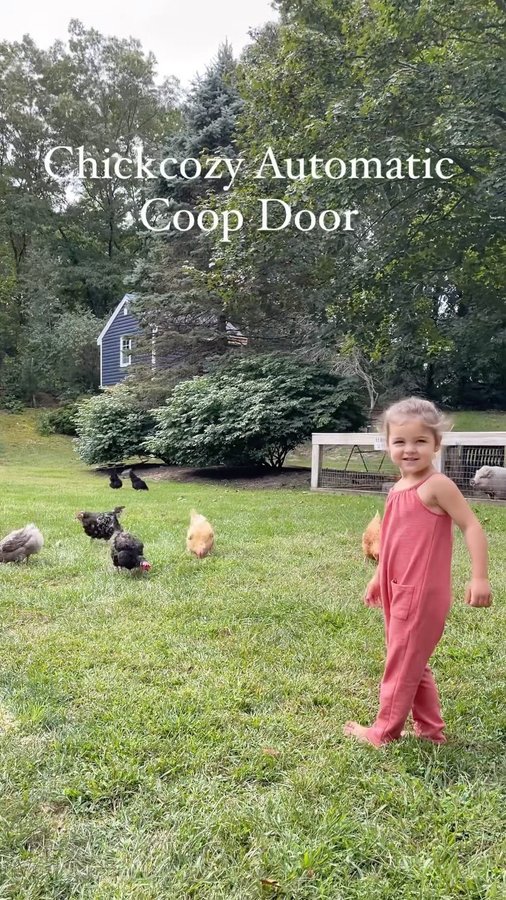 Instagram post by @our_little_coop for Chickcozy. Caption reads: [...] which is why we were so happy when....